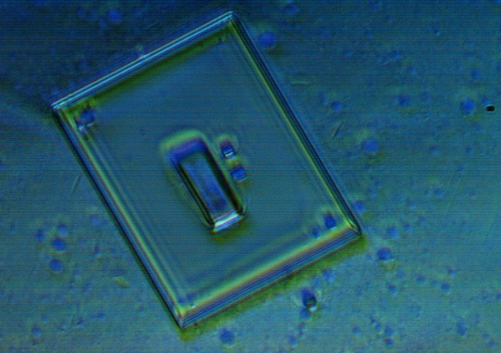 Pfizer-device-2