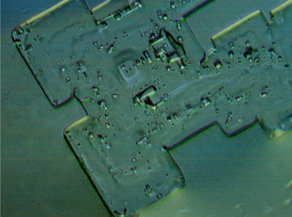 Pfizer-device-4